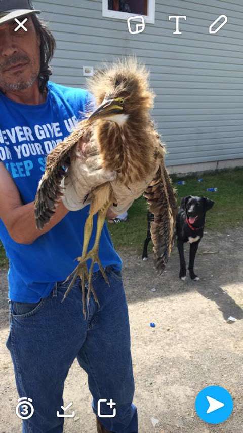 Atlantic Wildlife Institute